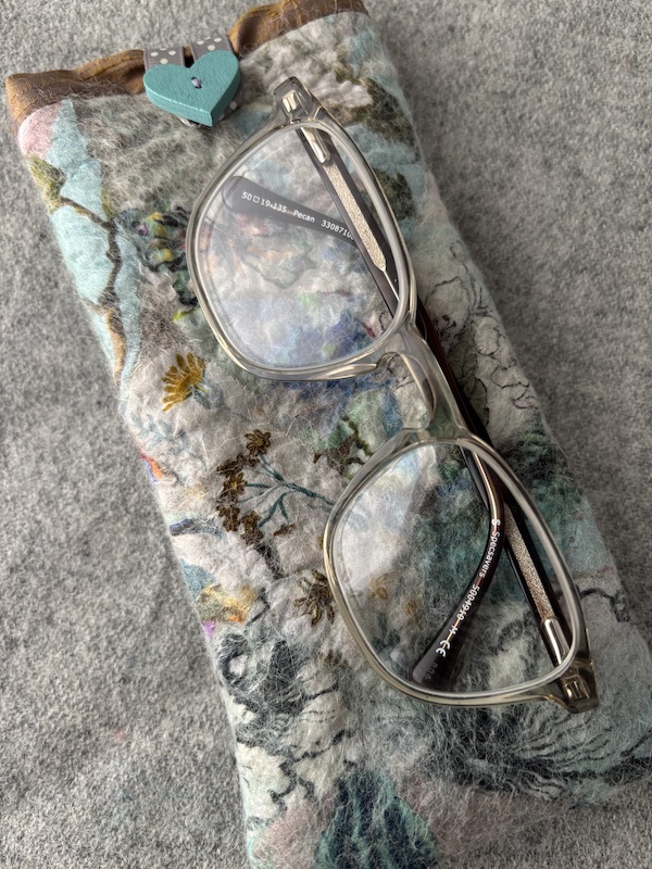 Turquoise butterfly glasses case