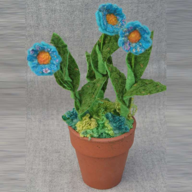 Daisy Pot (blue flowers)